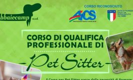 CINOFILIA: CORSO DI PET SITTER a RIMINI