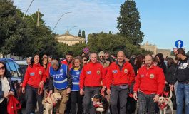 CINOFILIA, PASSEGGIATA DI NATALE CON GLI AMICI A 4 ZAMPE