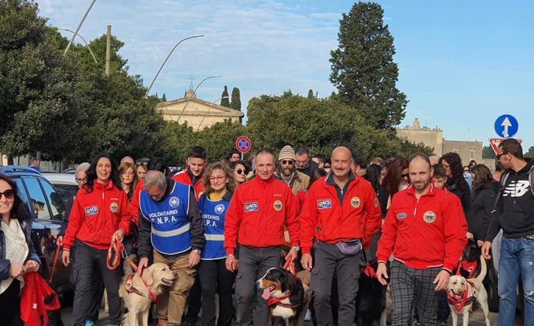 CINOFILIA, PASSEGGIATA DI NATALE CON GLI AMICI A 4 ZAMPE