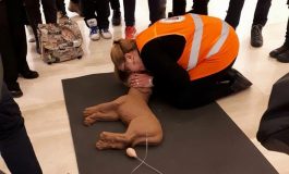 CINOFILIA, CORSO TEORICO – PRATICO DI PRIMO SOCCORSO VETERINARIO DEL CANE