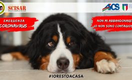 “IO NON SONO CONTAGIOSO”: CAMPAGNA DI SENSIBILIZZAZIONE CONTRO L’ABBANDONO DEI CANI