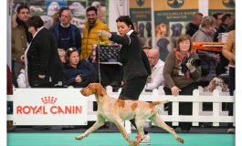 CINOFILIA, I CANI DEL ROCCOLINO DOG COUNTRY ALL’ESPOSIZIONE MONDIALE