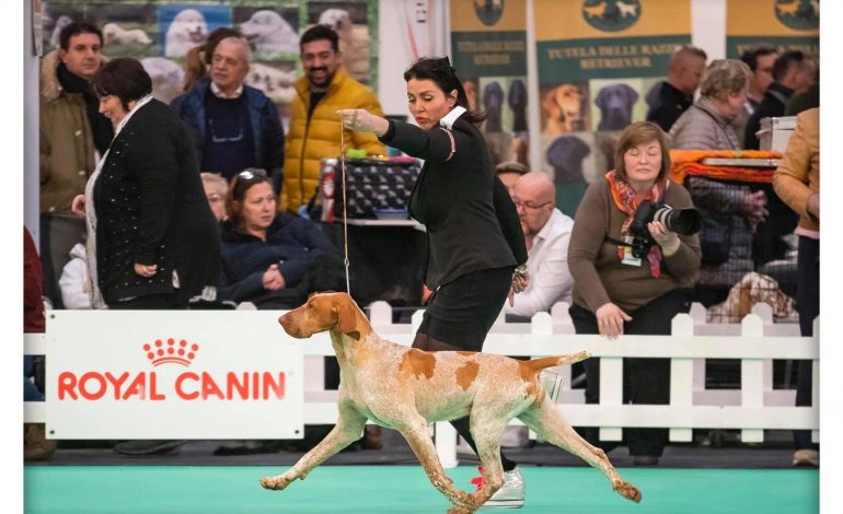 CINOFILIA, I CANI DEL ROCCOLINO DOG COUNTRY ALL’ESPOSIZIONE MONDIALE