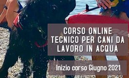 CINOFILIA, da GROSSETO CORSO ON LINE PER TECNICO CANI DA LAVORO IN ACQUA