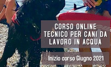 CINOFILIA, da GROSSETO CORSO ON LINE PER TECNICO CANI DA LAVORO IN ACQUA