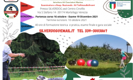 CORSO TECNICO TREIBBALL (VENEZIA)