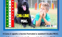 CORSO GIUDICE PEAC (ONLINE)