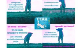 CORSO DOG MANAGER IHOD