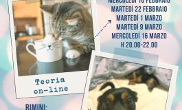 CORSO PROFESSIONAL PET SITTER