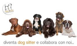 CORSO FORMATIVO PER DOG SITTER