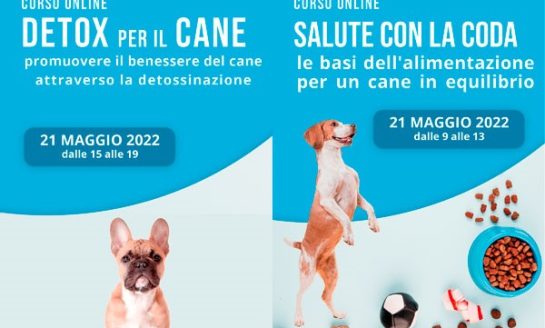 CORSO ON LINE 21 MAGGIO 2022 - SALUTE CON LA CODA: PROMUOVERE IL BENESSERE DEL CANE
