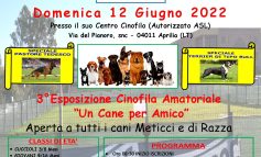 3° ESPOSIZIONE CINOFILA AMATORIALE " UN CANE PER AMICO"