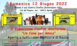 3° ESPOSIZIONE CINOFILA AMATORIALE " UN CANE PER AMICO"
