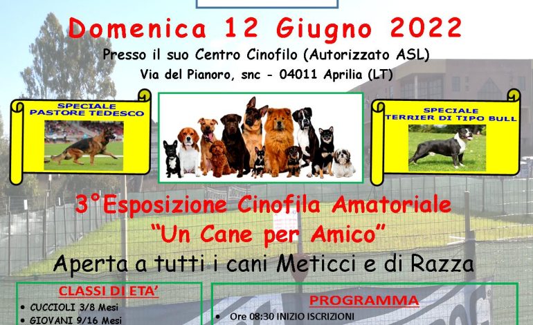3° ESPOSIZIONE CINOFILA AMATORIALE ” UN CANE PER AMICO”