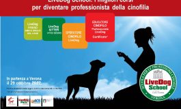 CORSO DOG SITTER – CENTRO CINOFILO CITTA’ DI VERONA ASD