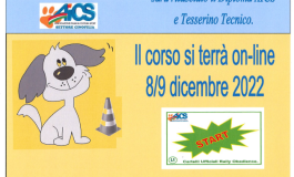 CORSO TECNICO RALLY-O 1 LIVELLO  - ASD KING DOG