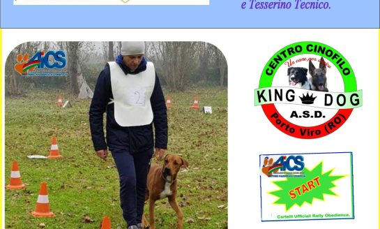 CORSO TECNICO RALLY-O 2 LIVELLO  - ASD KING DOG