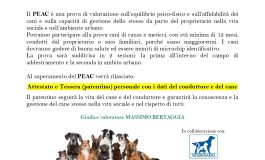 PATENTINO P.E.A.C PROVA DI AFFIDABILITA’ E CONTROLLO   – CENTRO CINOFILO LA STELLA ASD
