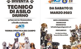 CORSO TECNICO ASILO DIURNO PER CANI   – CHIARAMILLA Associazione Sportiva Dilettantistica
