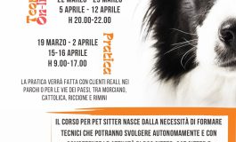 <strong>CORSO PROFESSIONAL PET SITTER   – ABBAIO CAMP A.S.D.</strong>