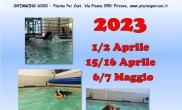 <strong>CORSO TECNICO DEL NUOTO ED ASSISTENTE DELLE ATTIVITA’ IN PISCINA – CENTRO CINOFILO IL VIVAIO A.S.D.</strong>