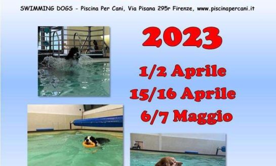 <strong>CORSO TECNICO DEL NUOTO ED ASSISTENTE DELLE ATTIVITA’ IN PISCINA – CENTRO CINOFILO IL VIVAIO A.S.D.</strong>
