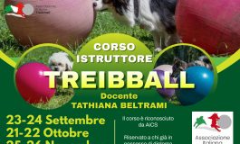 <strong>CORSO ISTRUTTORE TREIBBALL – ASD NEWFOUNDLY</strong>