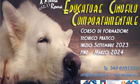<strong>CORSO EDUCATORE CINOFILO COMPORTAMENTALE  -</strong> <strong>ASD WORK ROMA</strong>