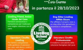 <strong>CORSI: OPERATORE CINOFILO, EDUCATORE CINOFILO, DOG SITTER – CENTRO CINOFILO CITTA’ DI VERONA ASD</strong>