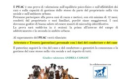 <strong>PATENTINO P.E.A.C PROVA DI AFFIDABILITA’ E CONTROLLO   – CENTRO CINOFILO LA STELLA ASD</strong>