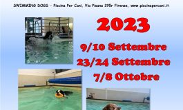 <strong>CORSO TECNICO DEL NUOTO ED ASSISTENTE DELLE ATTIVITA’ IN PISCINA – CENTRO CINOFILO IL VIVAIO ASD</strong>