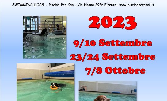 <strong>CORSO TECNICO DEL NUOTO ED ASSISTENTE DELLE ATTIVITA’ IN PISCINA – CENTRO CINOFILO IL VIVAIO ASD</strong>