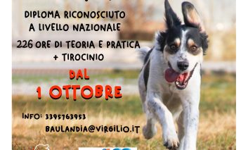 <strong>CORSO EDUCATORE CINOFILO PROFESSIONALE  </strong>