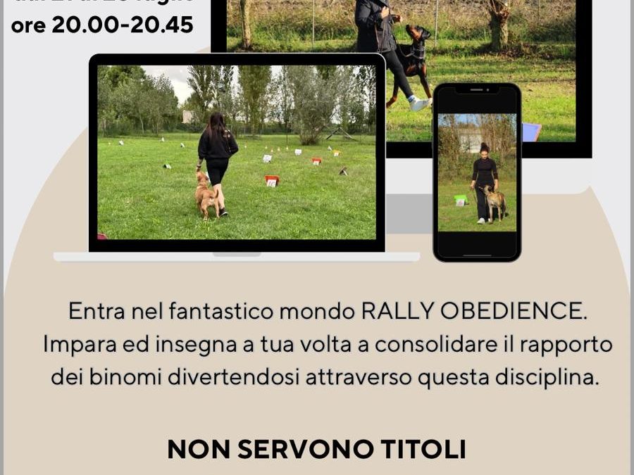 CORSO TECNICO RALLY-O 1° LIVELLO