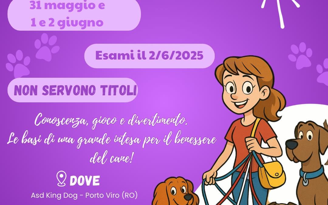 CORSO PET SITTER