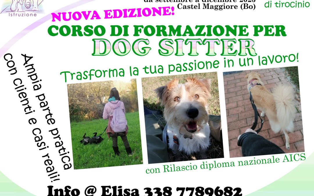 Corso di formazione per dog sitter