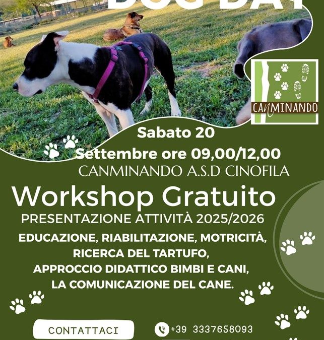 DOG DAY (WORKSHOP GRATUITO)