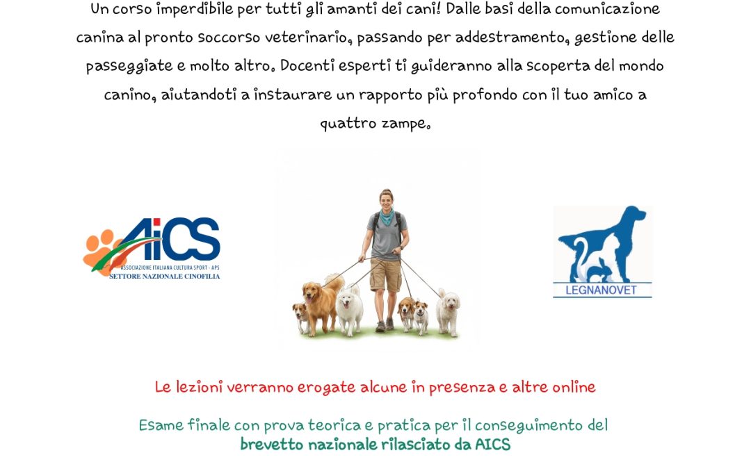 CORSO DOG SITTER
