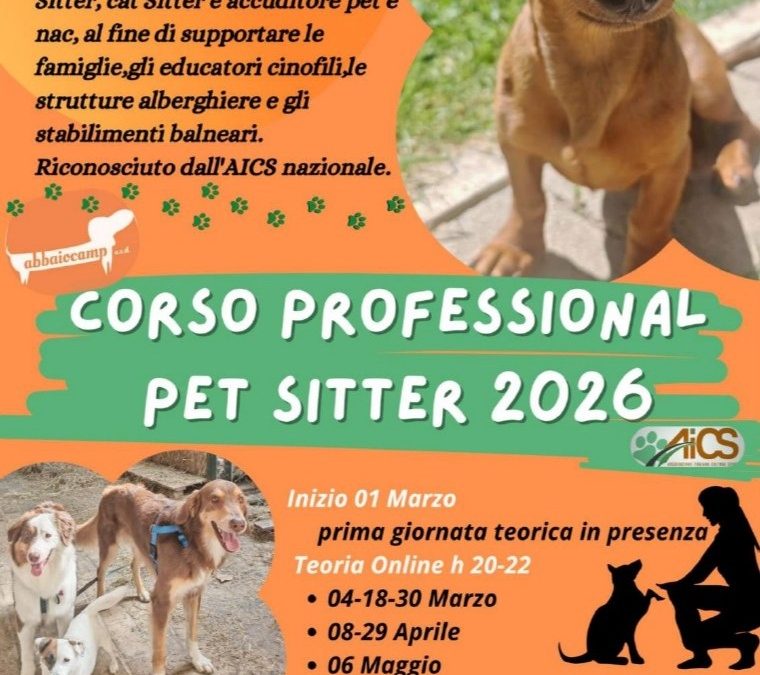 Corso Professional Pet Sitter